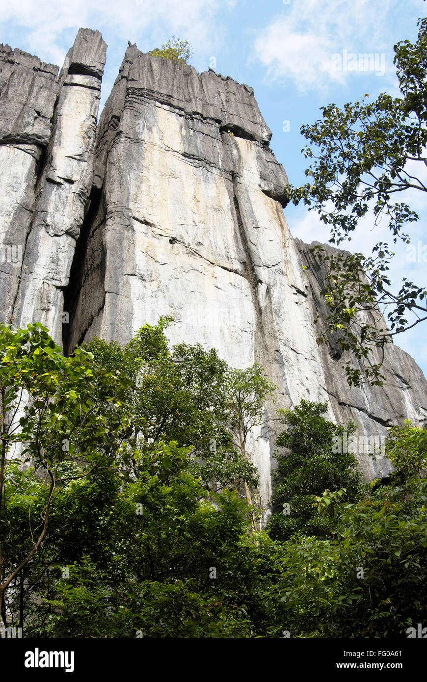 Formazione di roccia a Yana foresta , distretto nord Kanara , Karnataka , India Foto Stock