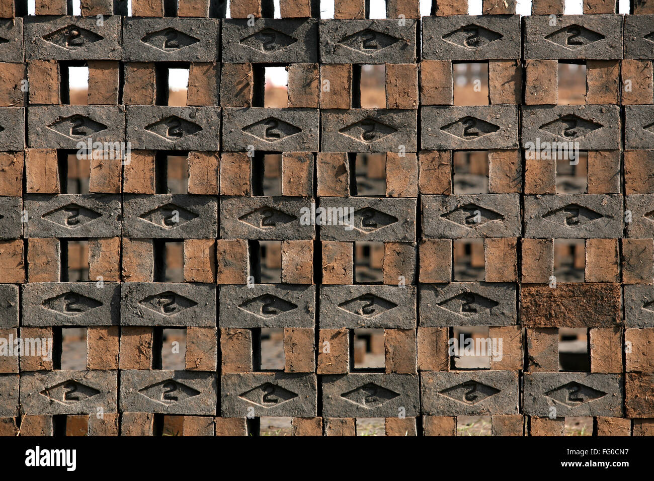 Mattoni umidi mantenuta per essiccamento in fabbrica di mattoni , Sangli , Maharashtra , India Foto Stock