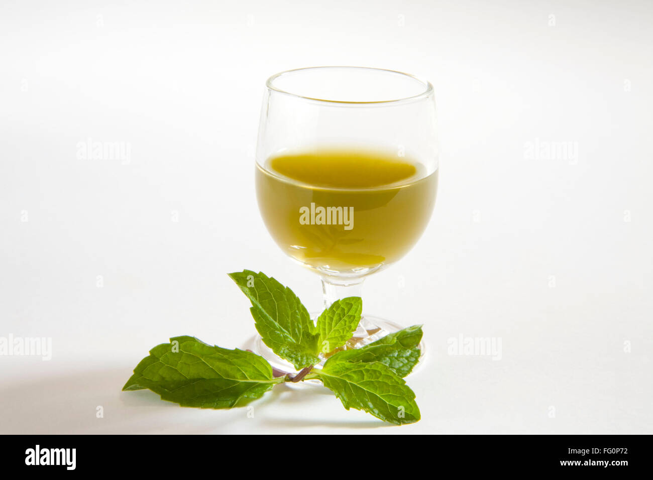 Green spezie succo di menta contro uno sfondo bianco , pudina ka rus , India Foto Stock