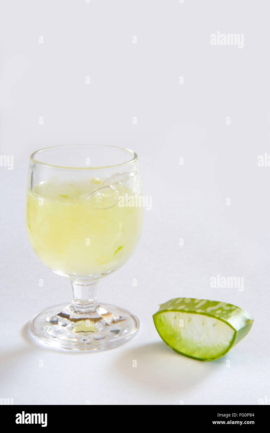 Pianta selvatica di aloe vera gel e succo di frutta con una meravigliosa proprietà medicinali , India Foto Stock