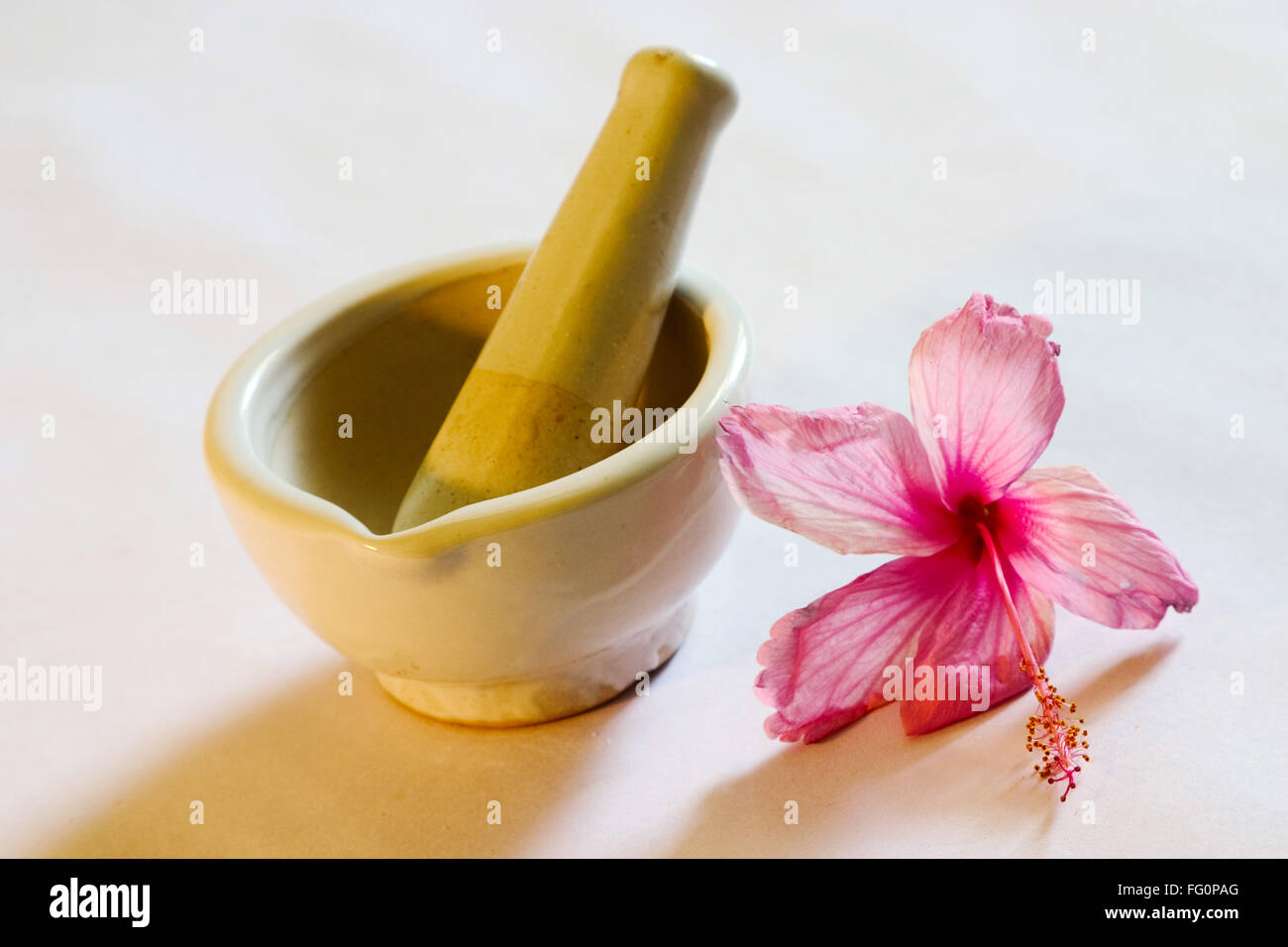 Macinino manuale e calzatura Hibiscus fiore colore rosa utilizzato per ayurvedico e la medicina di erbe , India Foto Stock