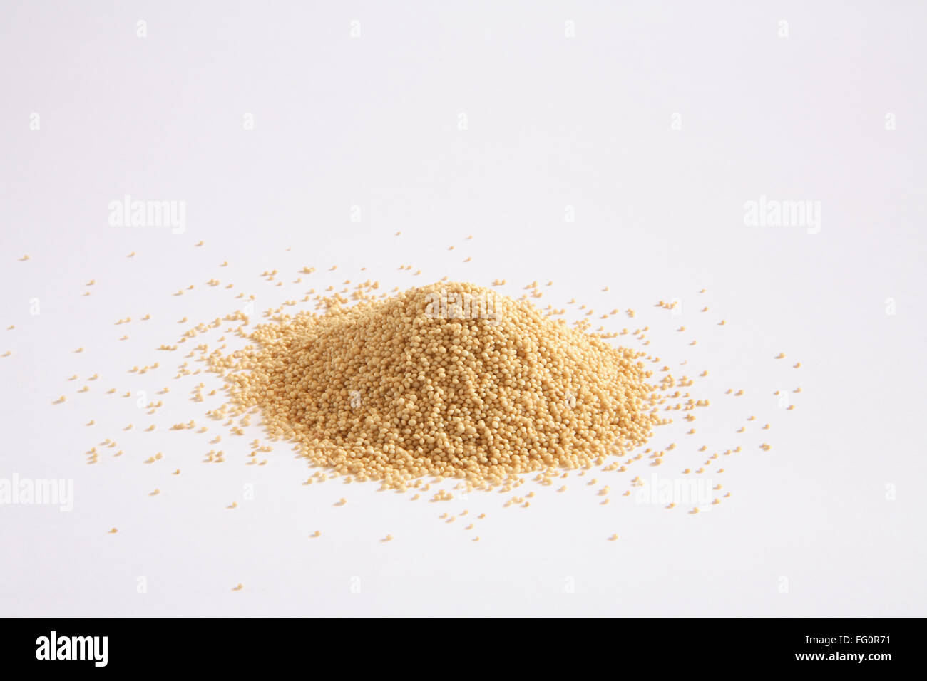 Indian Spice , semi di papavero Khuskhus Papaver somniferum su sfondo bianco Foto Stock