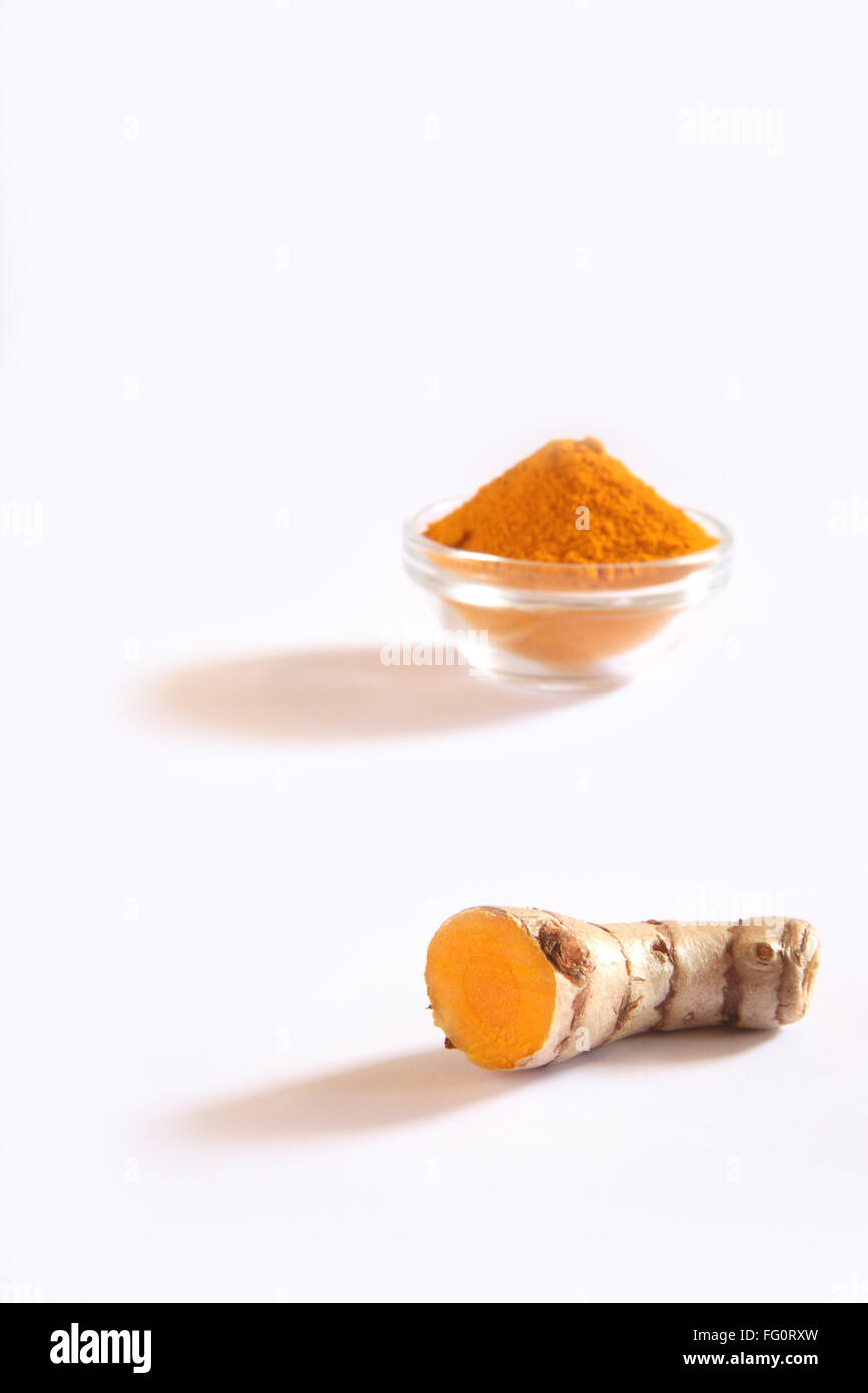 Indian Spice , fresco e la curcuma in polvere a Haldi Curcuma longa su sfondo bianco Foto Stock