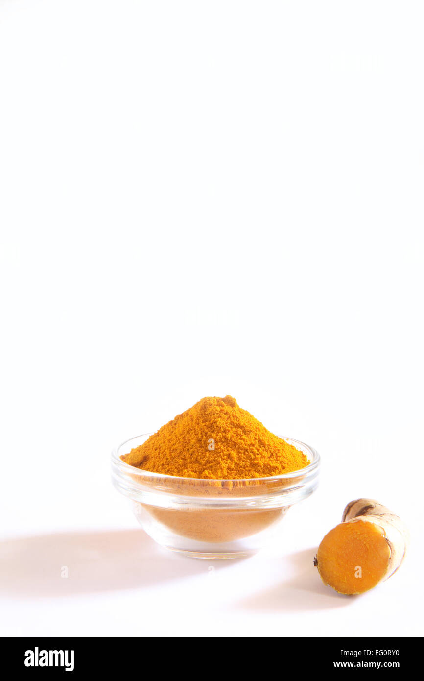 Indian Spice , fresco e la curcuma in polvere a Haldi Curcuma longa su sfondo bianco Foto Stock