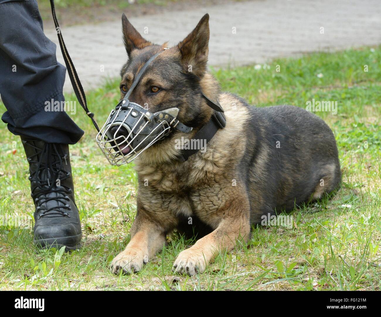 La polizia-ufficiali con cane sul dazio in Villingen-Schwenningen, 26 aprile 2015. Foto Stock