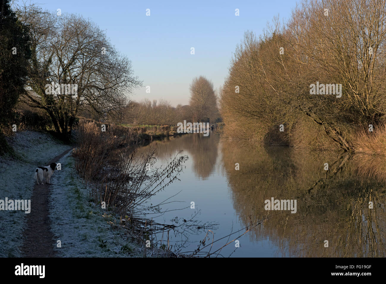 Kennet and Avon Canal a Hungerford comune con la brina sul lato delle ombre e riflessi di albero in acqua ancora Foto Stock