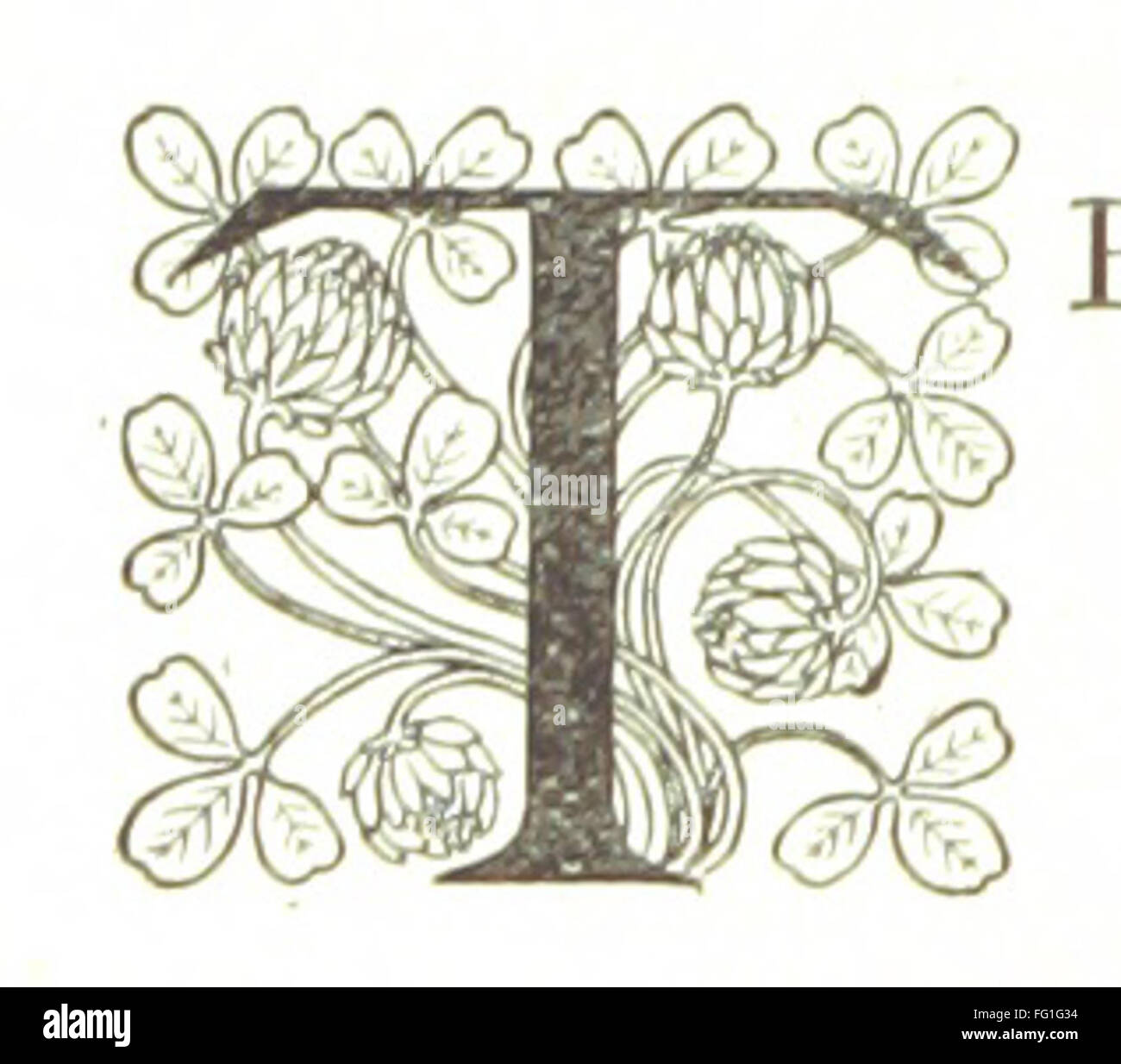 Questa collezione presenta la storia "The Phantom Brother and the Child" di E. E. Green, insieme ad altre storie di vari autori. Le storie esplorano temi di mistero, avventura ed emozioni umane. Foto Stock