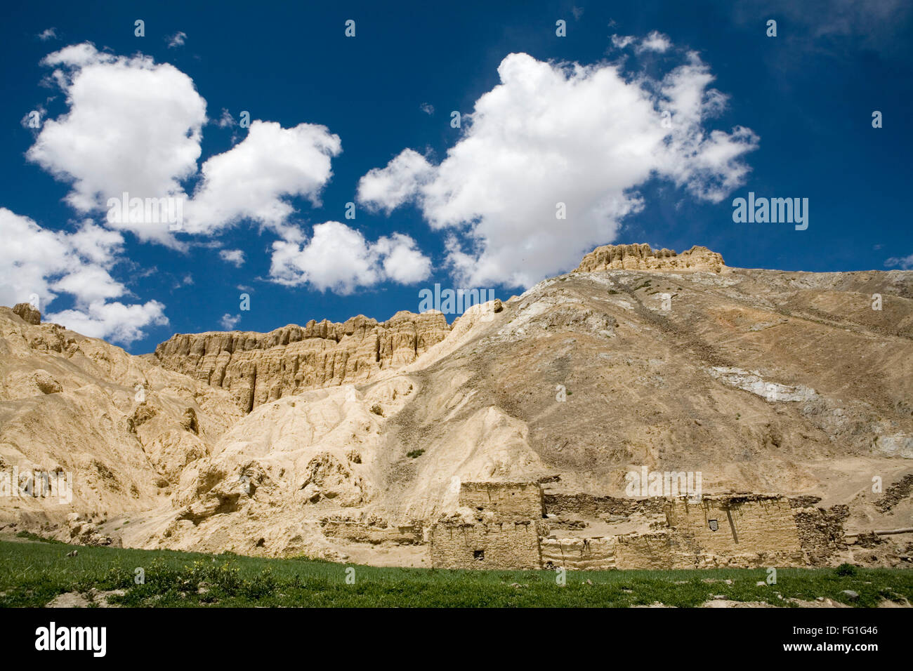 Campi verdi e casa di fango mimetizzata nel tipico paesaggio del Ladakh , Jammu e Kashmir , India Foto Stock