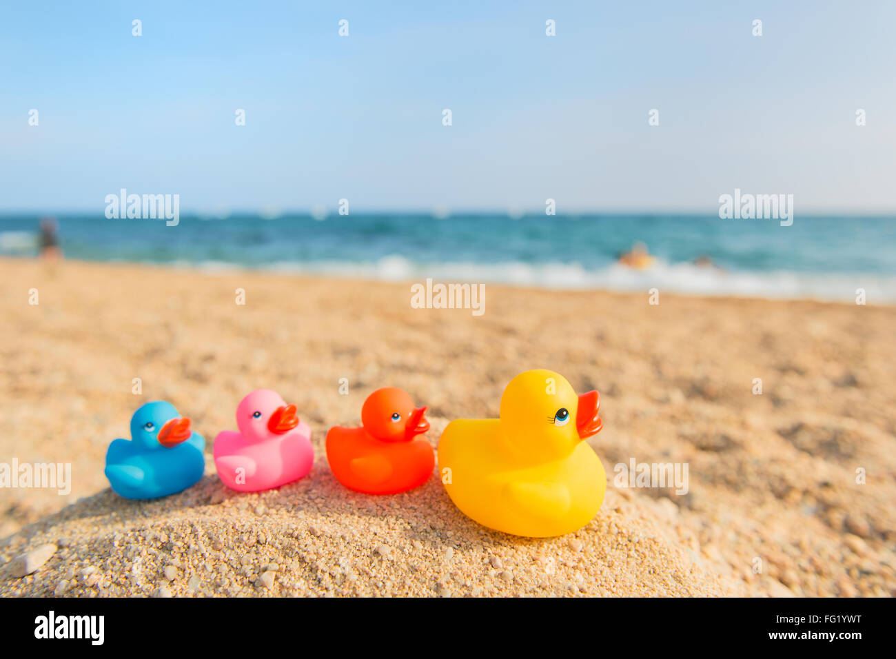 Riga anatre colorate al Summer Beach Foto Stock