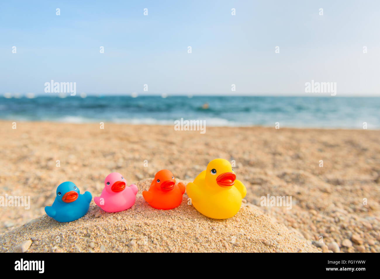 Riga anatre colorate al Summer Beach Foto Stock