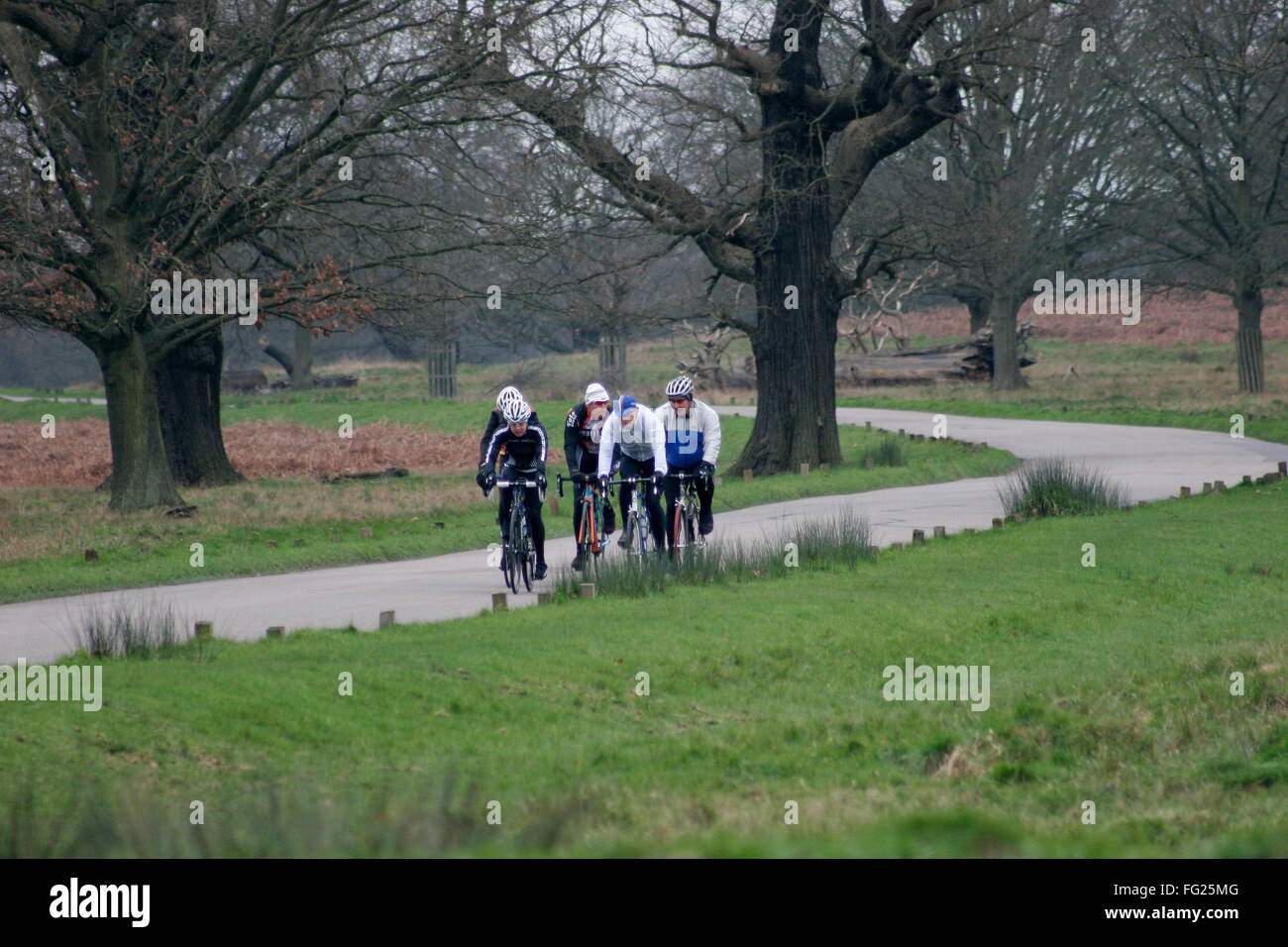 I ciclisti corsa attraverso il parco di Richmond, a sud ovest di Londra, Gran Bretagna il 12 febbraio 2016. Copyright Fotografia - Giovanni Voos Foto Stock
