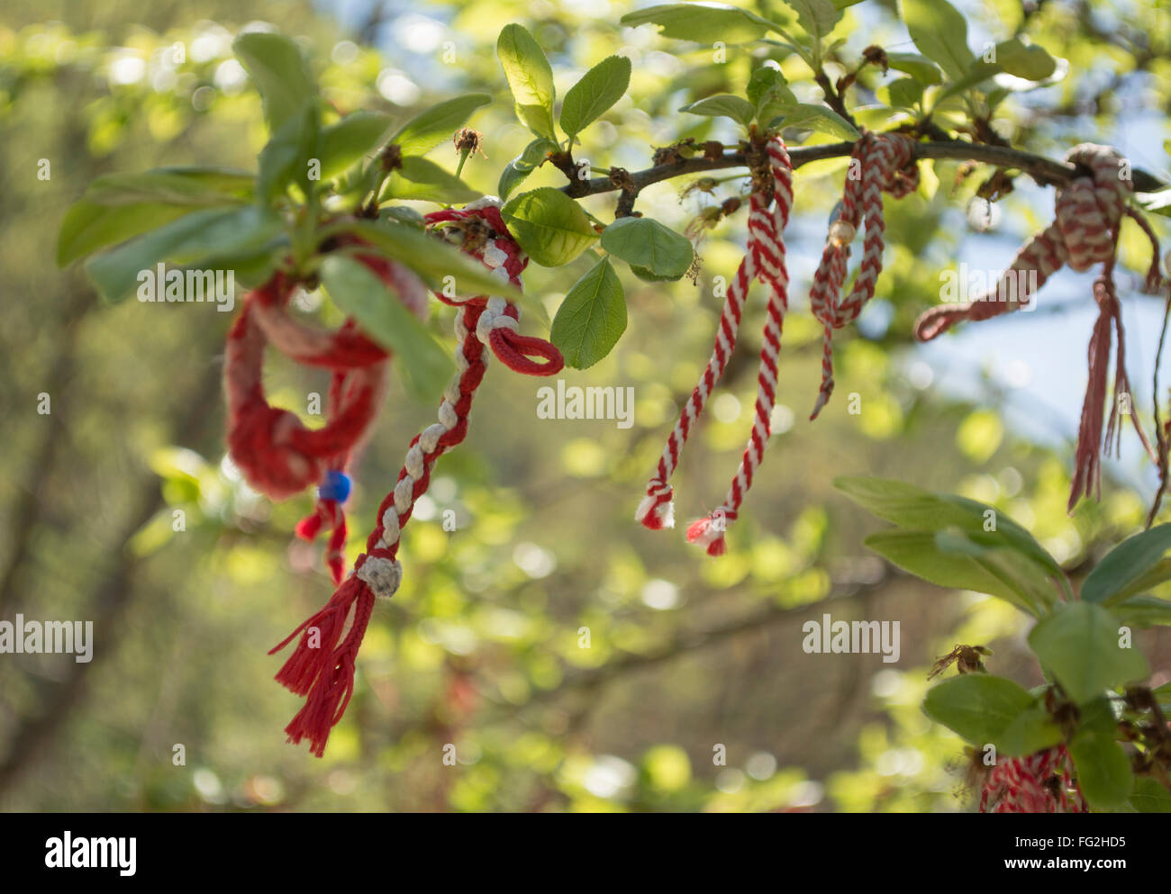 Martenitsa, piccolo rosso e bianco ornamenti fatti di filato. Indossato per accogliere la molla in Bulgaria. Foto Stock