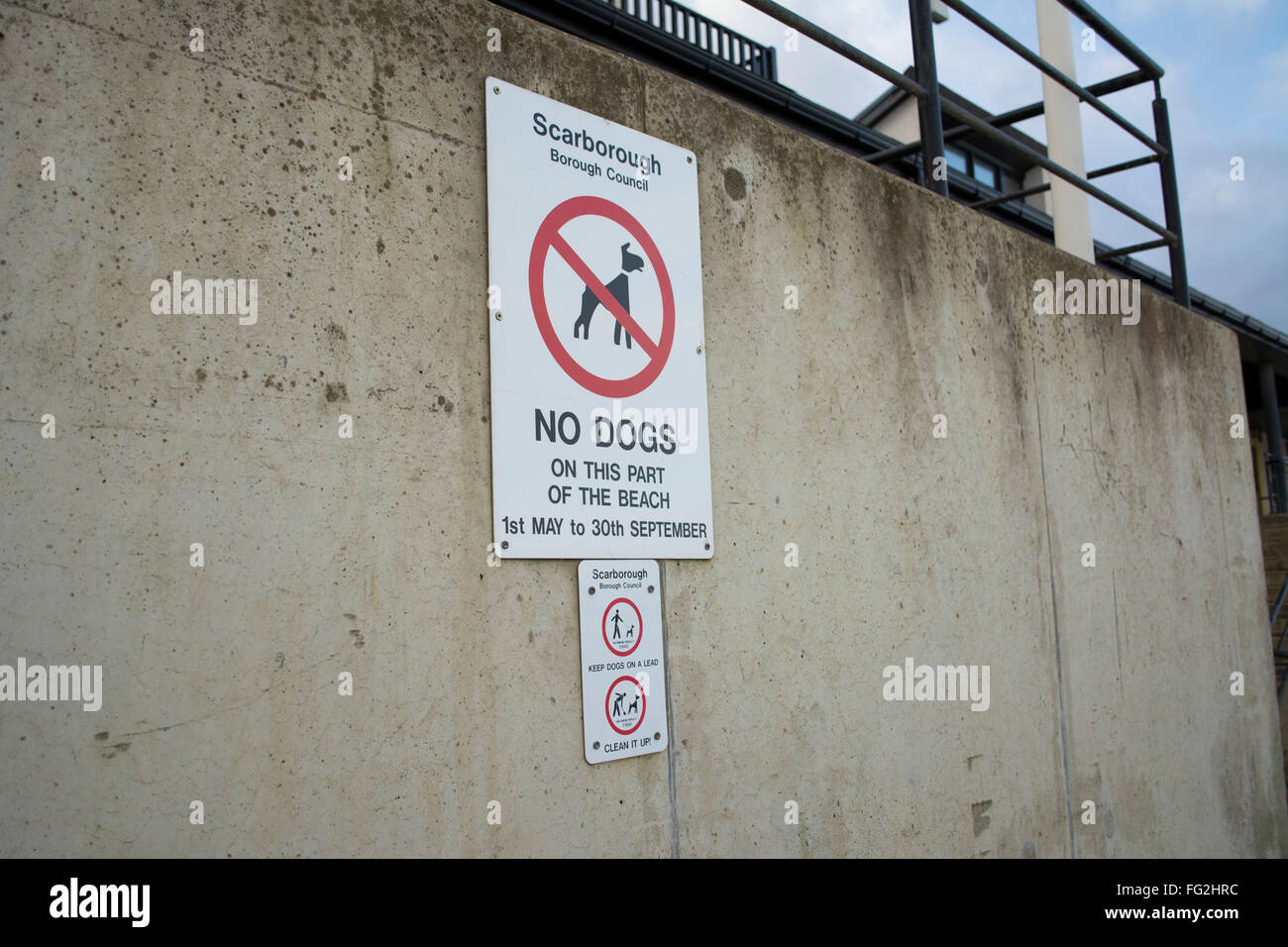 No cani sulla spiaggia di segno. Scarborough Borough consiglio. Attaccato al mare in calcestruzzo parete. Data dà come 1 maggio al 30 settembre. Foto Stock