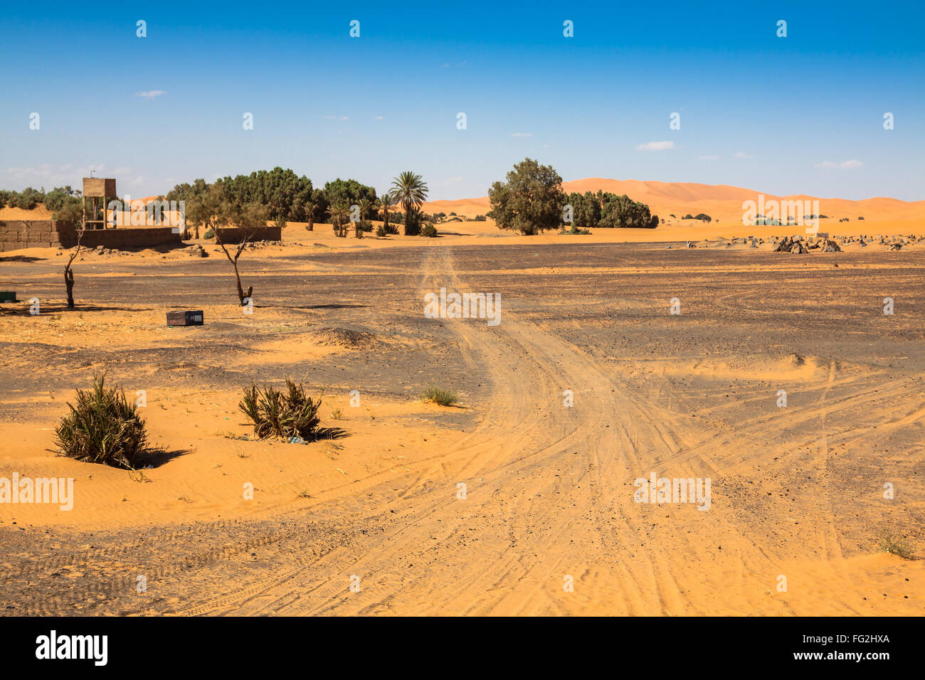 Le palme e le dune di sabbia del deserto del Sahara, Merzouga, Marocco Foto Stock