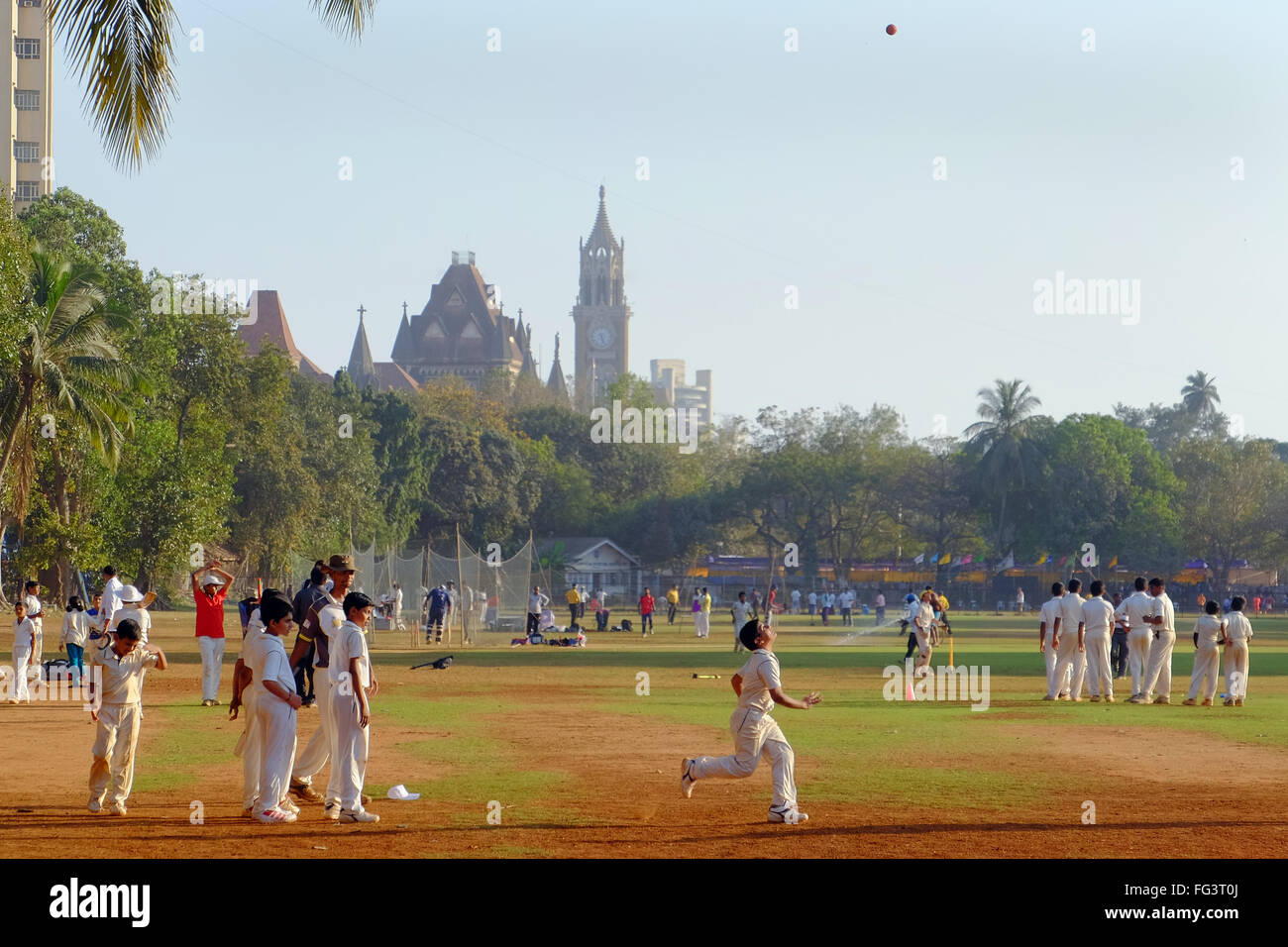 Il Cricket sui Maidan nel centro di Mumbai, India Foto Stock