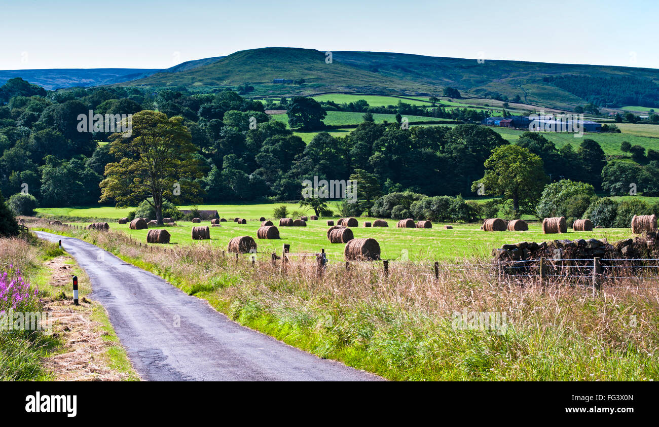 Vicolo del paese passando attraverso i terreni agricoli (campo rotonde con balle di fieno), Westerdale, North York Moors, North Yorkshire, Inghilterra, Regno Unito Foto Stock