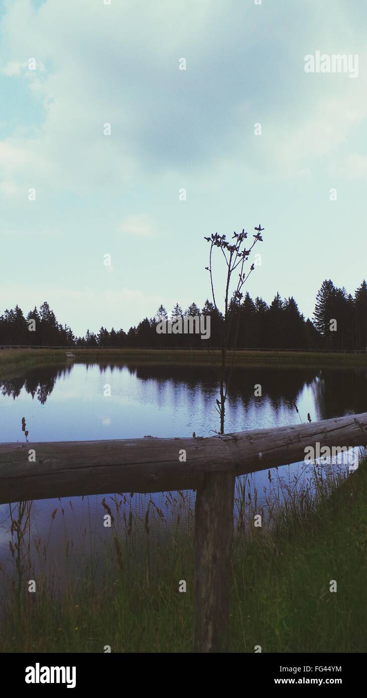 Idilliaco Shot del lago con albero riflessioni contro Sky Foto Stock