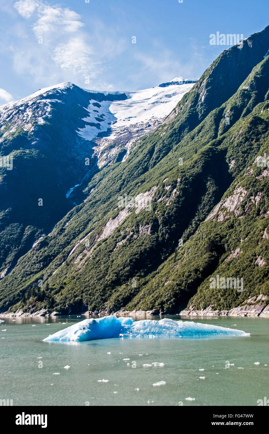 Iceberg di Tracy Arm Fjord vicino al Sawyer ghiacciai in Alaska sudorientale Foto Stock