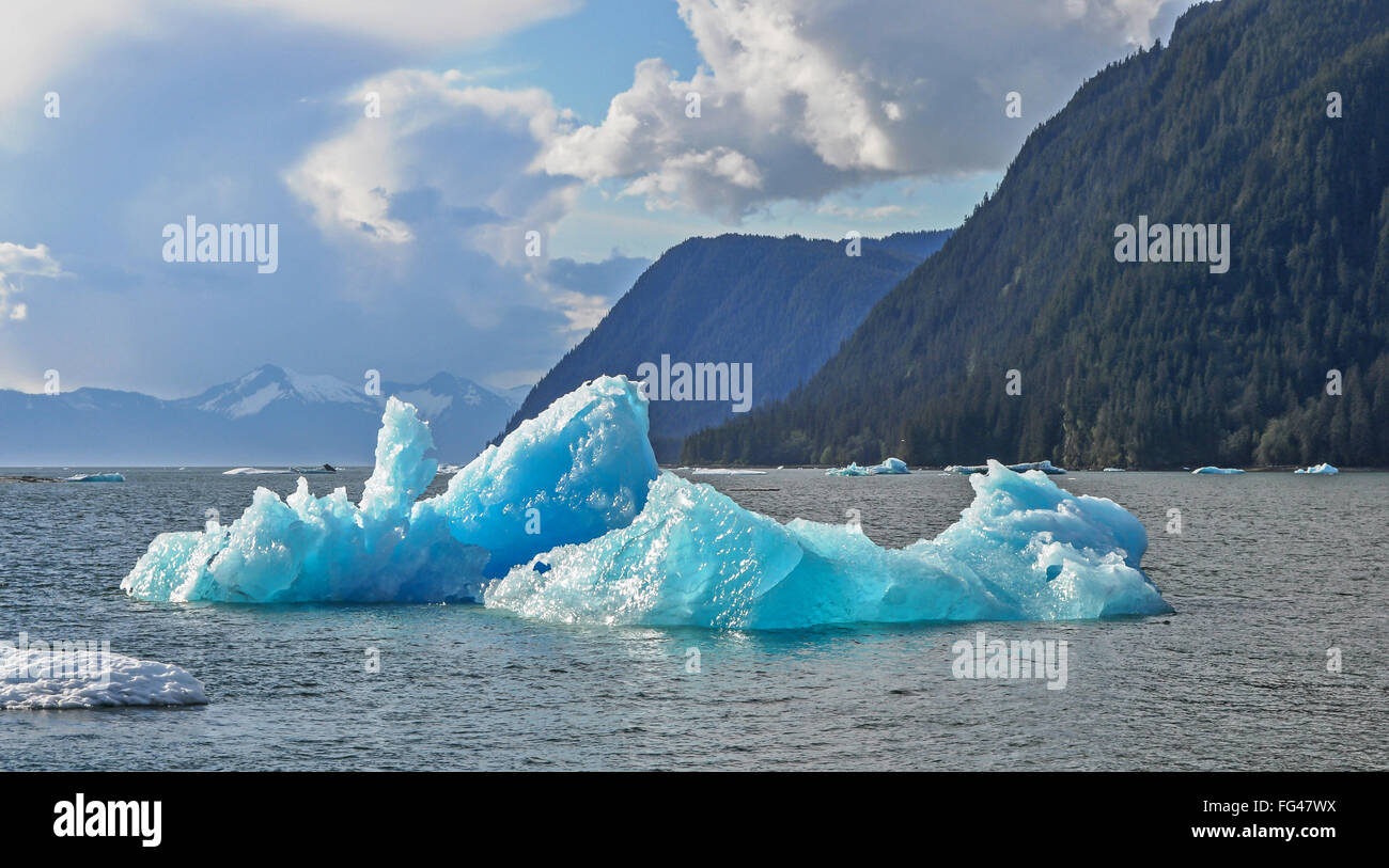 Iceberg dal ghiacciaio LeConte all'ingresso lecont baia vicino a Federico il suono nel sud-est Alaska Foto Stock