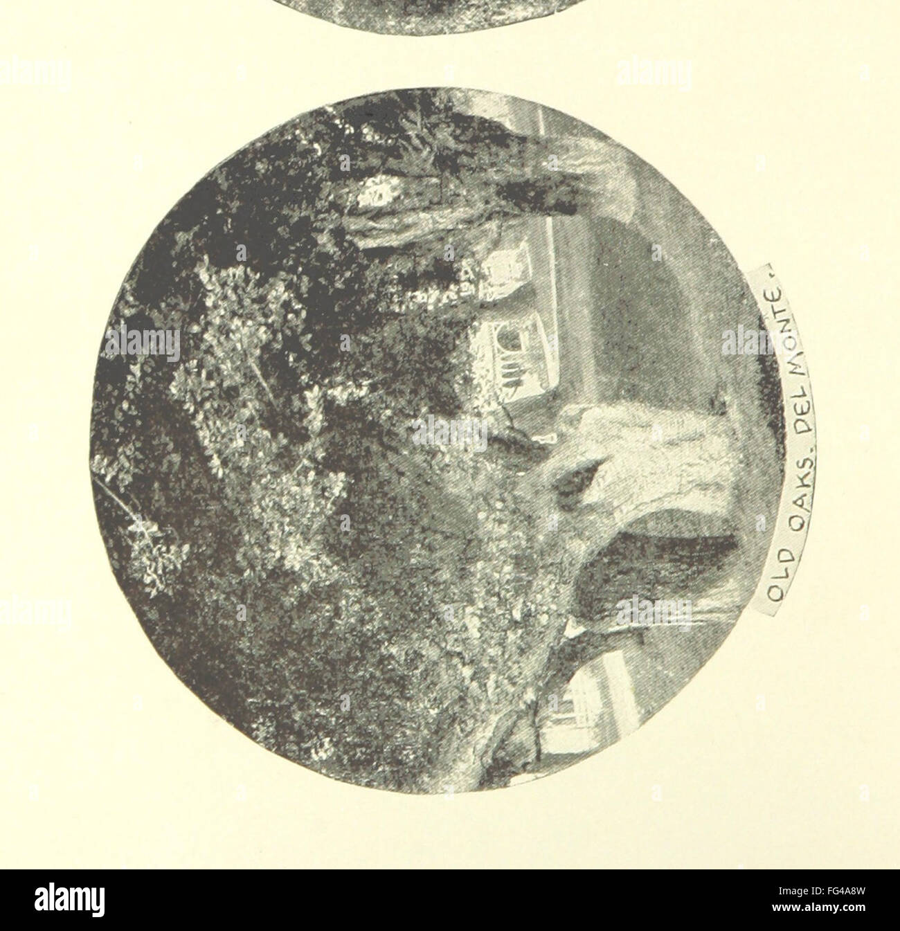 "Abroad and At Home" fornisce consigli pratici ai turisti, offrendo consigli e informazioni utili per i viaggiatori che esplorano sia le terre straniere che i loro paesi. Il libro si concentra sull'essenziale per il viaggio, aiutando i turisti a navigare in diversi ambienti. Foto Stock