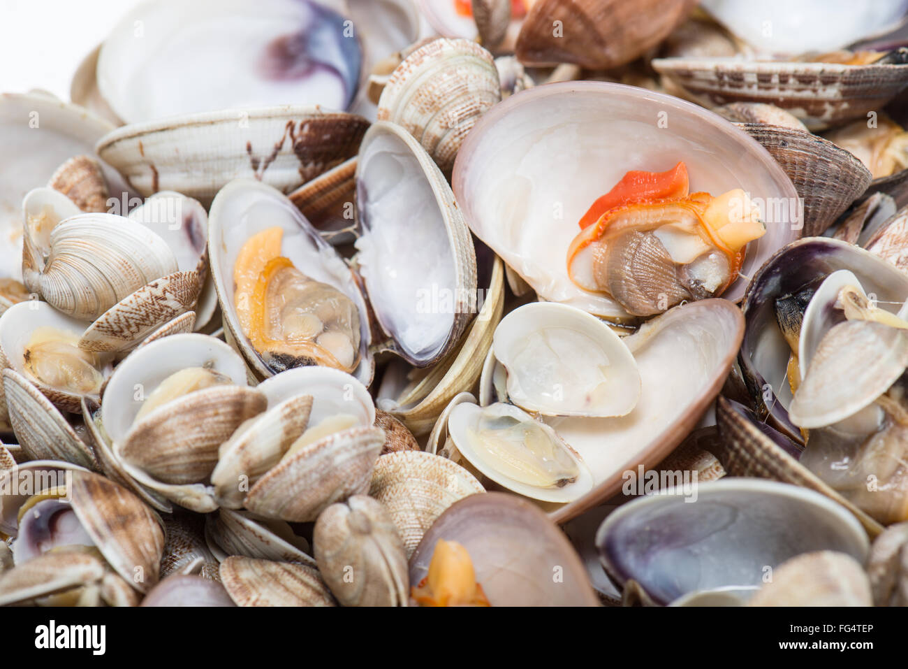 Piatti a base di frutti di mare freschi, vongole e cardidi preparato nel piatto Foto Stock