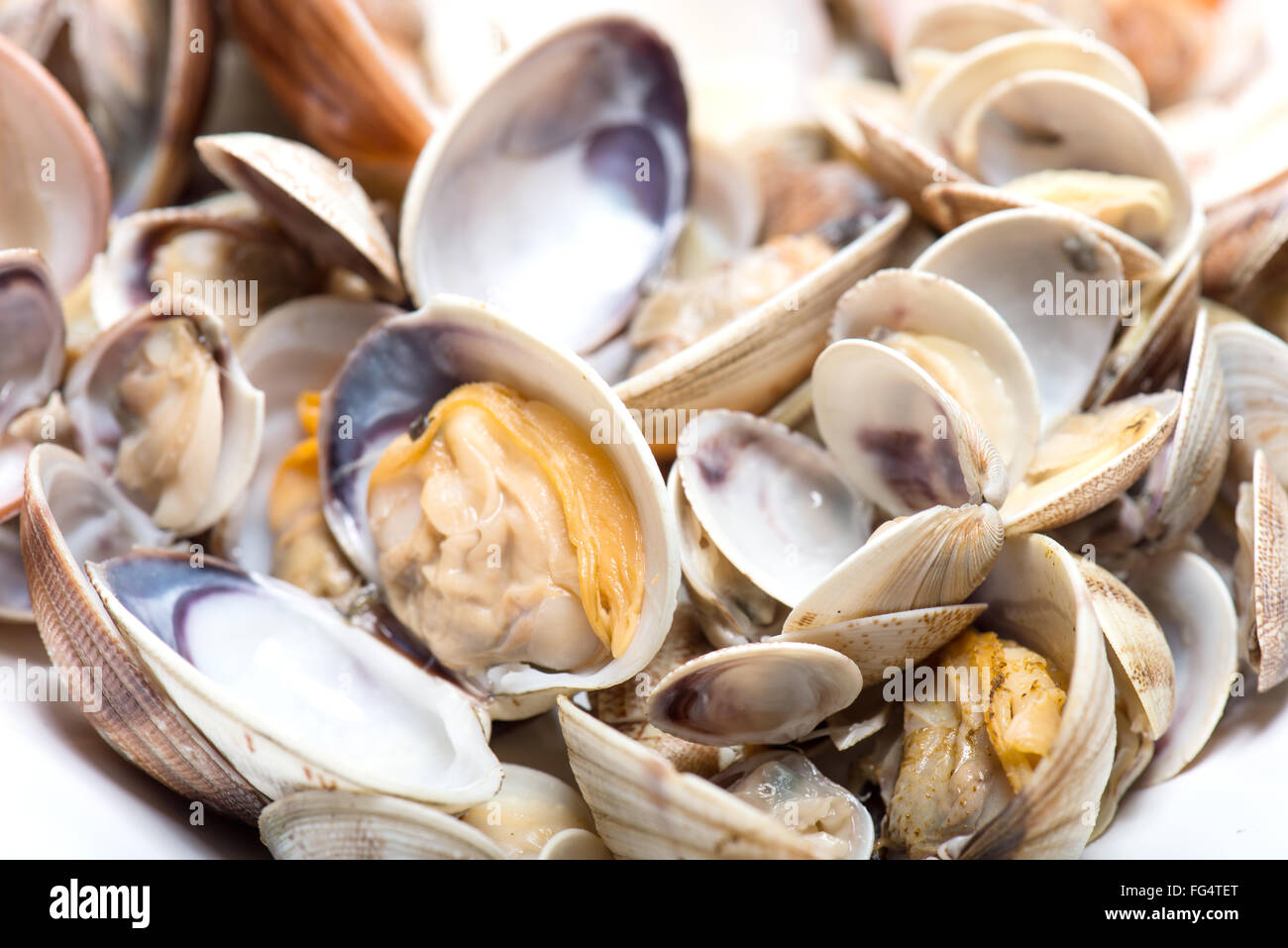 Piatti a base di frutti di mare freschi, vongole e cardidi preparato nel piatto Foto Stock