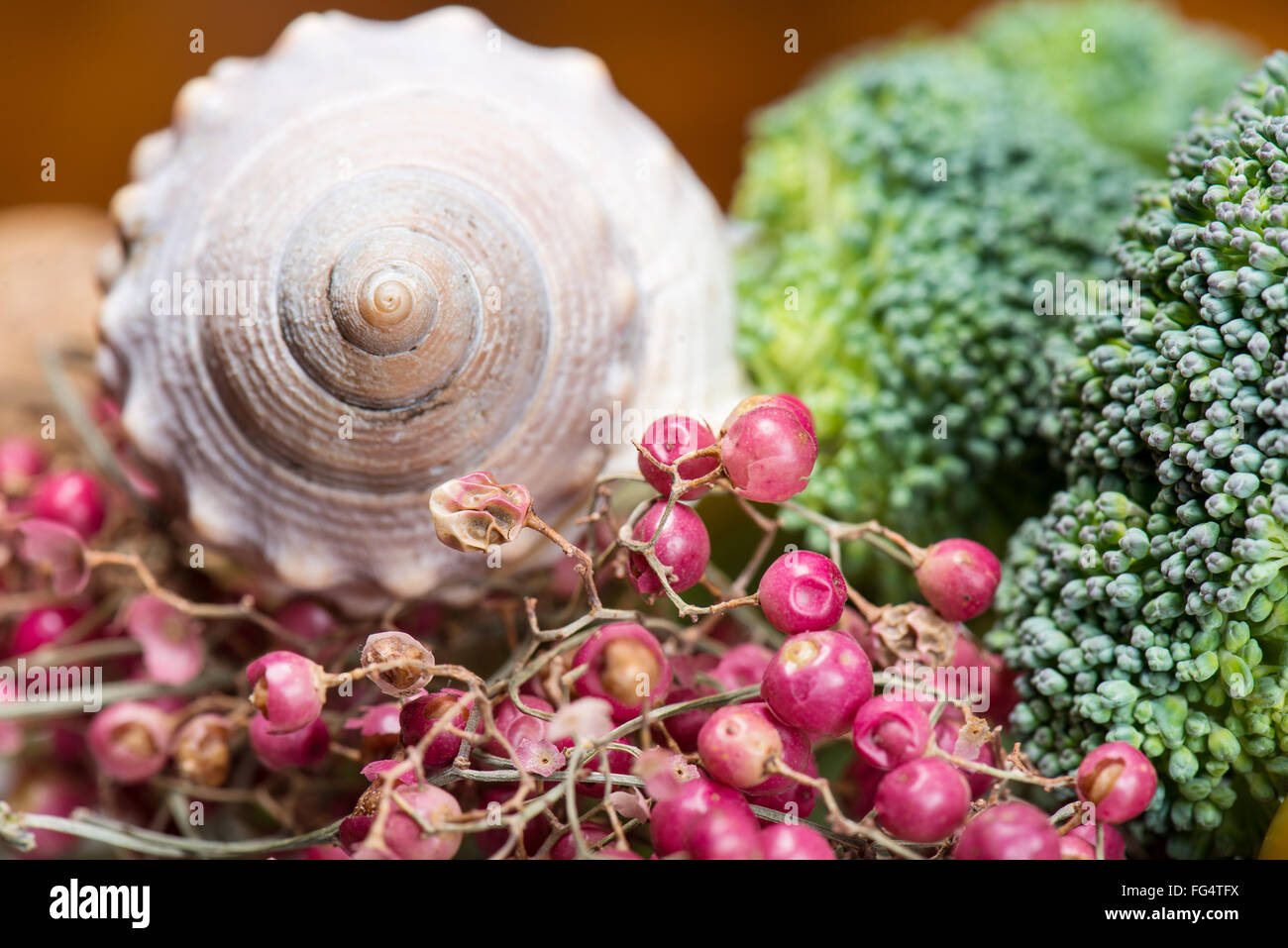 Composizione della shell e i broccoli - still life macro Foto Stock