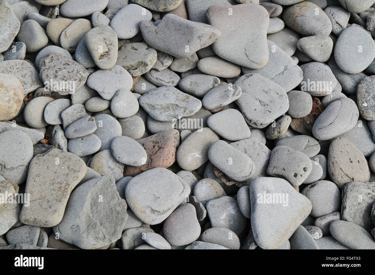 I ciottoli sulla spiaggia a poco Ridge, Fundy National Park Foto Stock