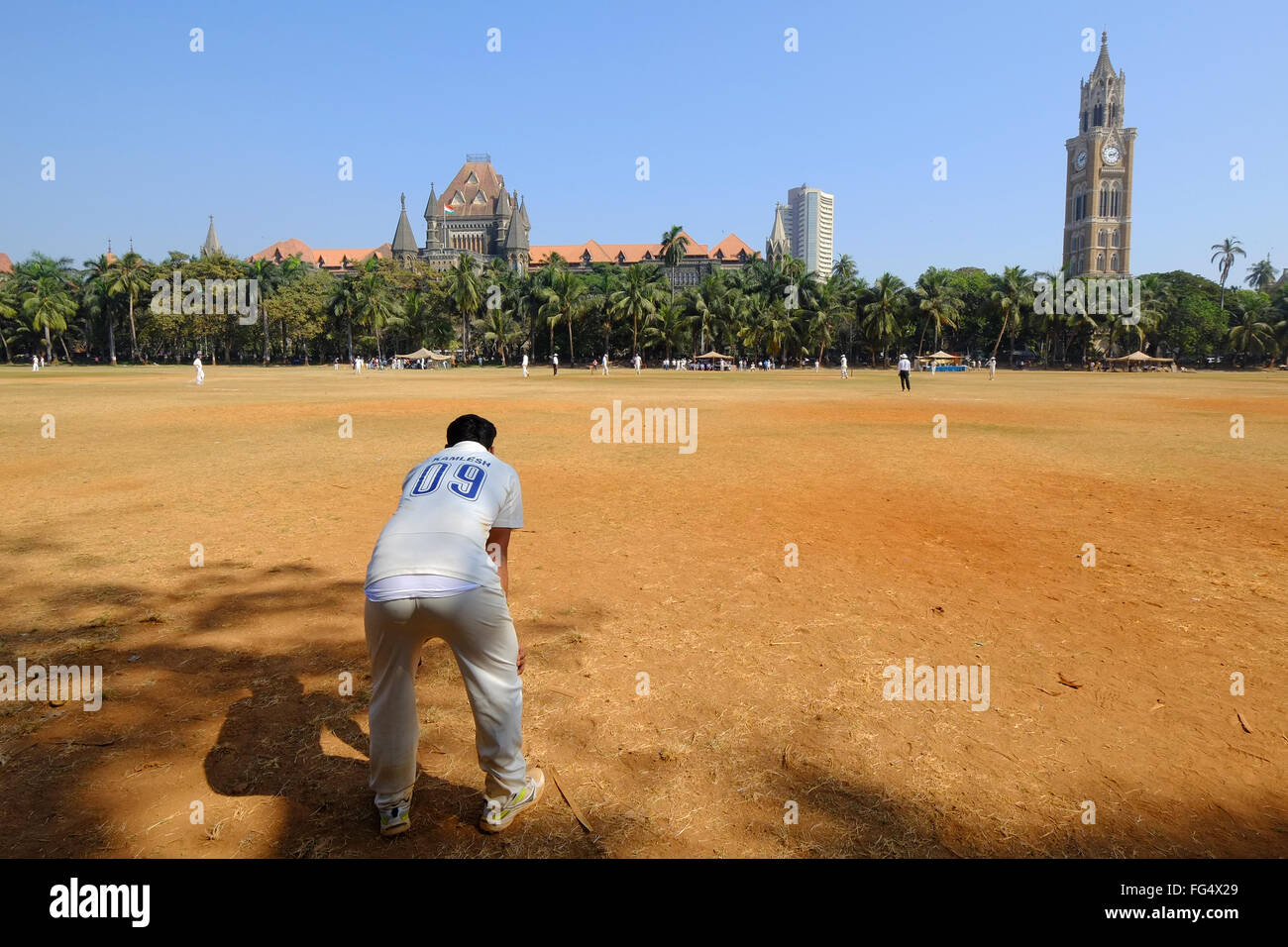 Cricket fielder sulla maidaïen nel centro di Mumbai, India Foto Stock