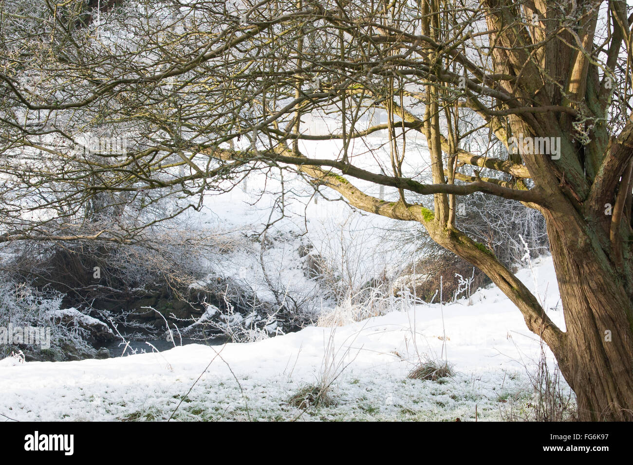 Campagna tra Baslow e Chatsworth nel Derbyshire vicino al distretto di picco Foto Stock