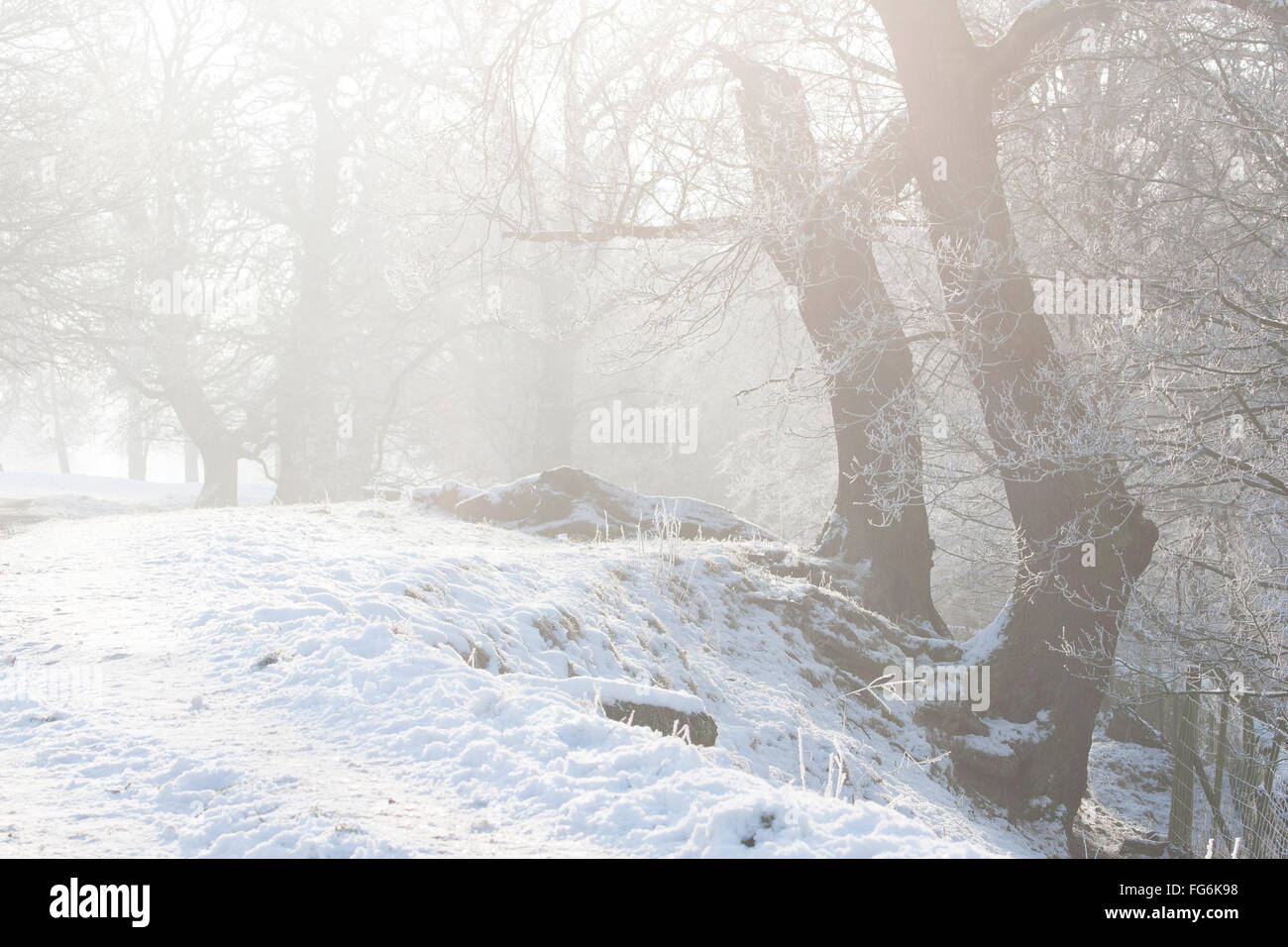 Campagna tra Baslow e Chatsworth nel Derbyshire vicino al distretto di picco Foto Stock