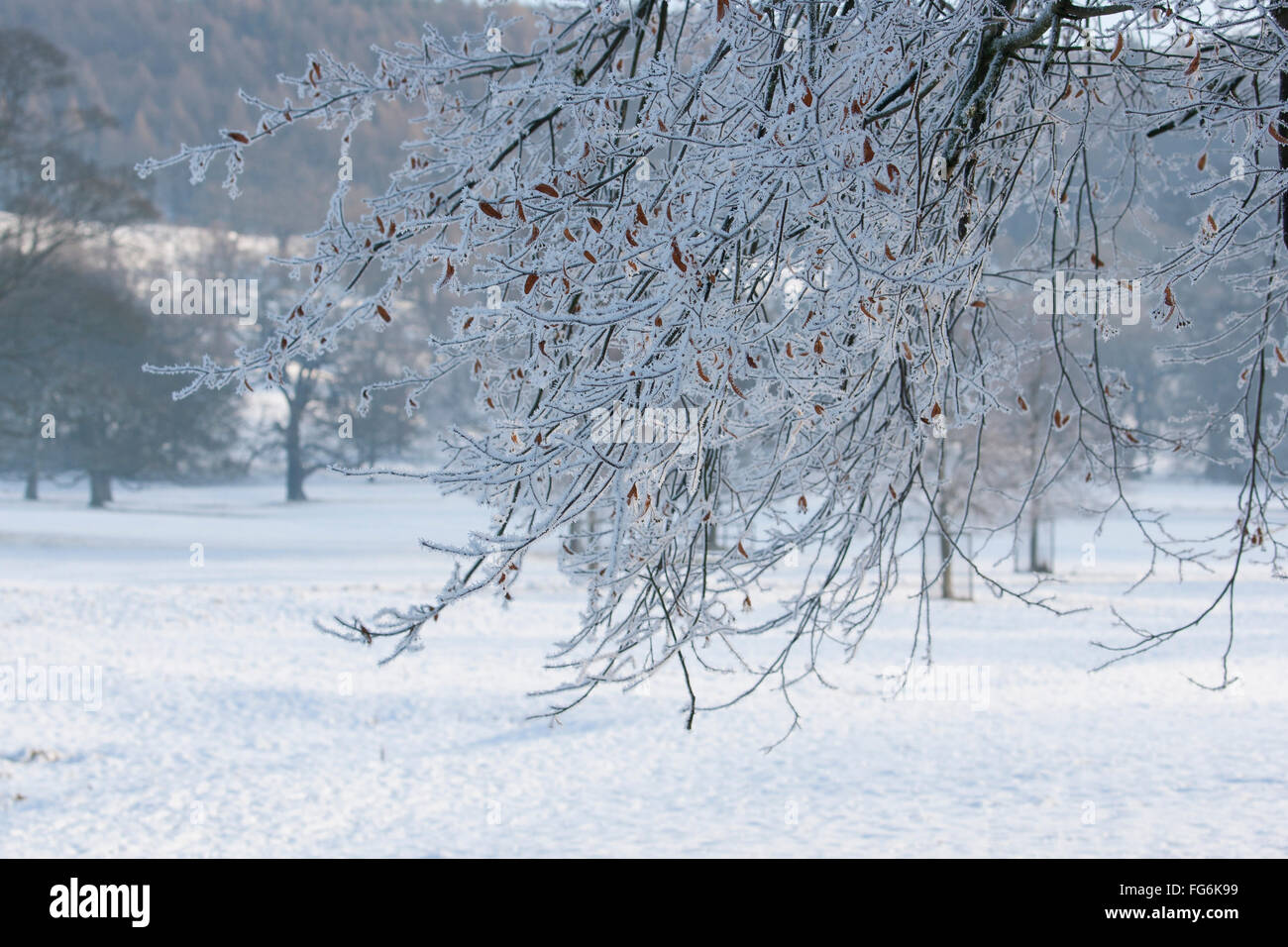 Campagna tra Baslow e Chatsworth nel Derbyshire vicino al distretto di picco Foto Stock