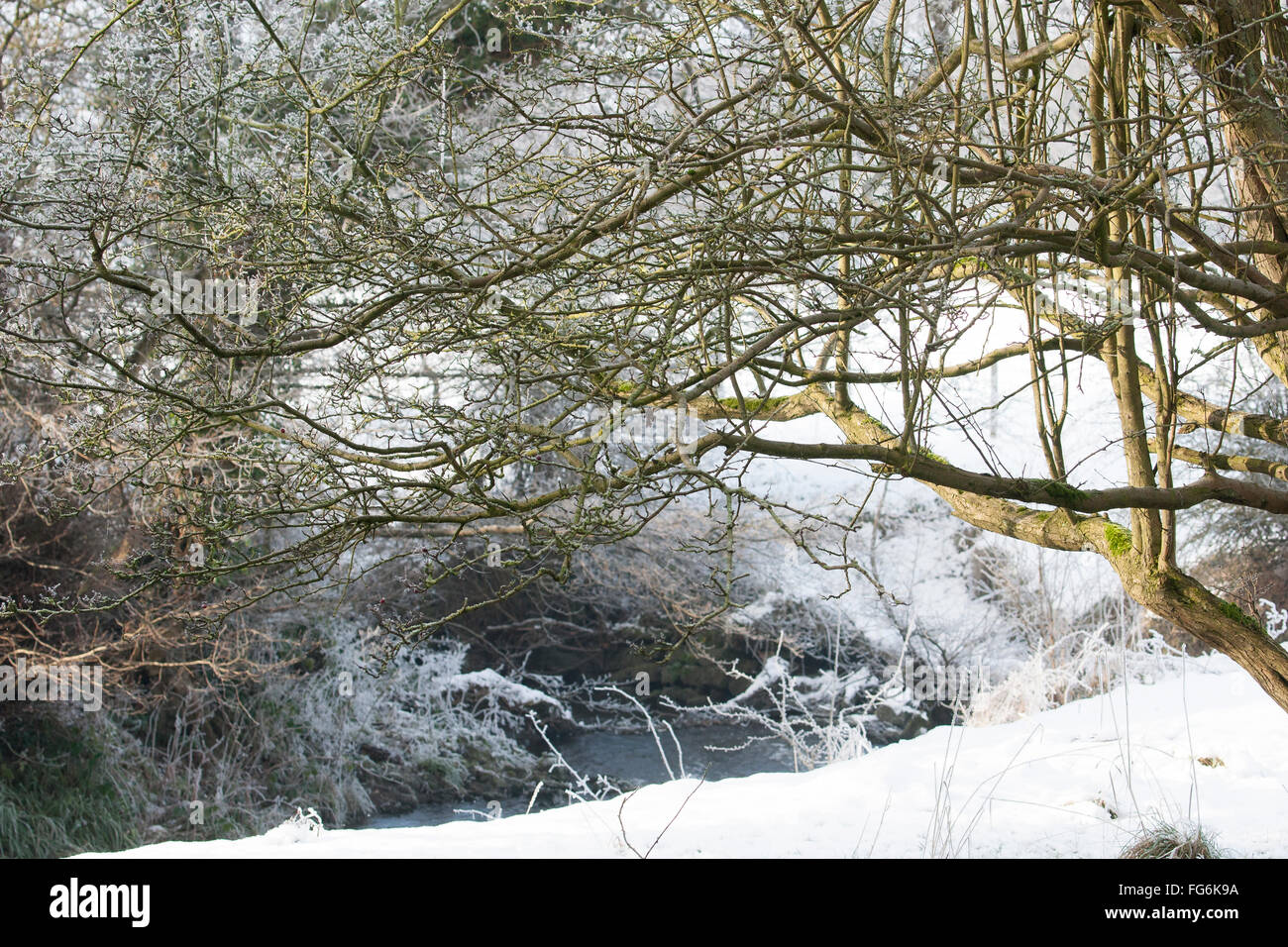 Campagna tra Baslow e Chatsworth nel Derbyshire vicino al distretto di picco Foto Stock
