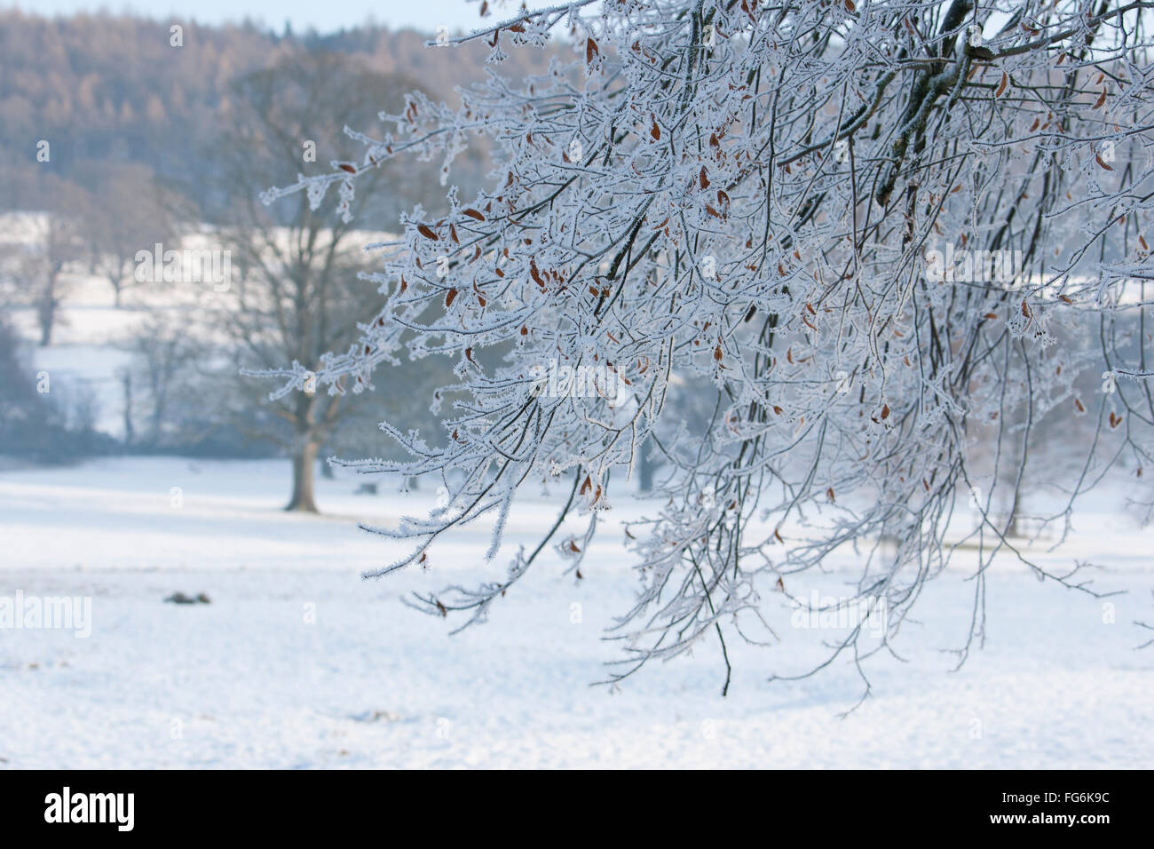 Campagna tra Baslow e Chatsworth nel Derbyshire vicino al distretto di picco Foto Stock