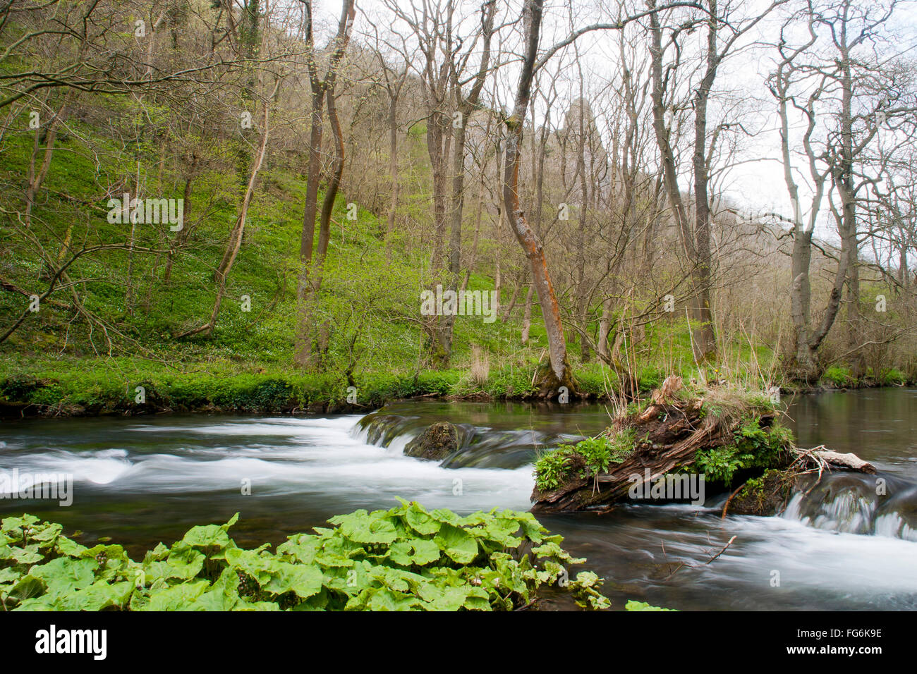 Dovedale, Derbyshire Foto Stock