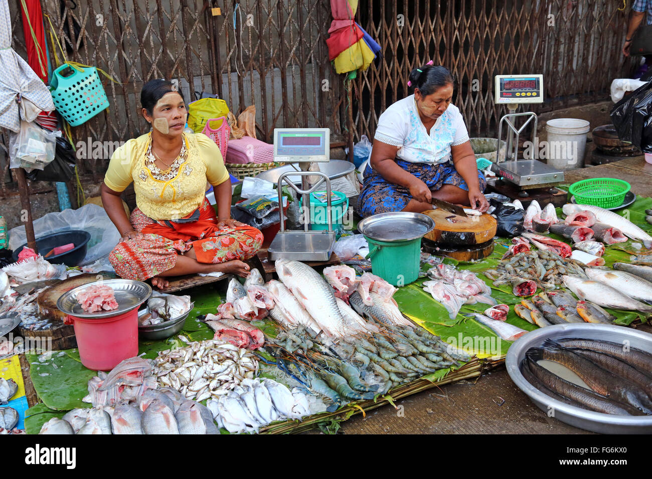 Le donne di vendita del pesce in un mercato di strada, Yangon, Myanmar Foto Stock