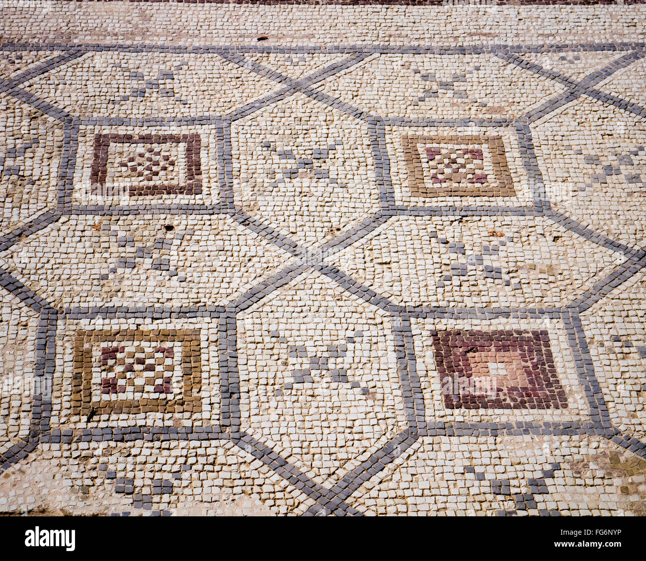 Pavimento a mosaico a Patrimonio dell'umanità dell'UNESCO del curio in Cuprus Foto Stock