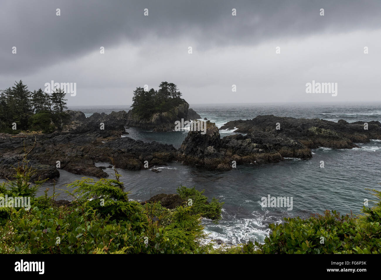 Pacific Rim National Park; British Columbia, Canada Foto Stock