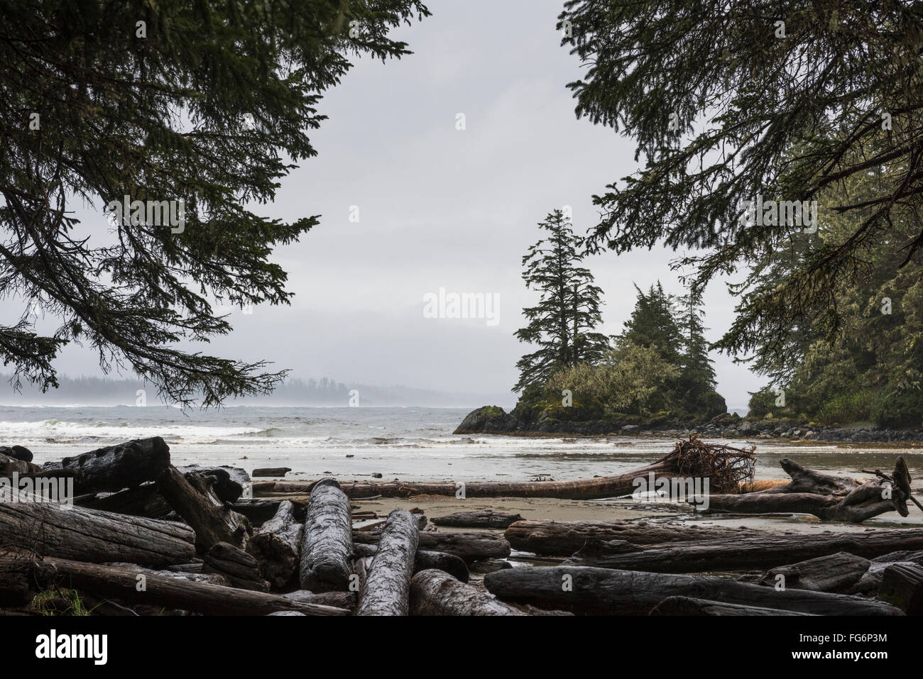 Pacific Rim National Park; British Columbia, Canada Foto Stock