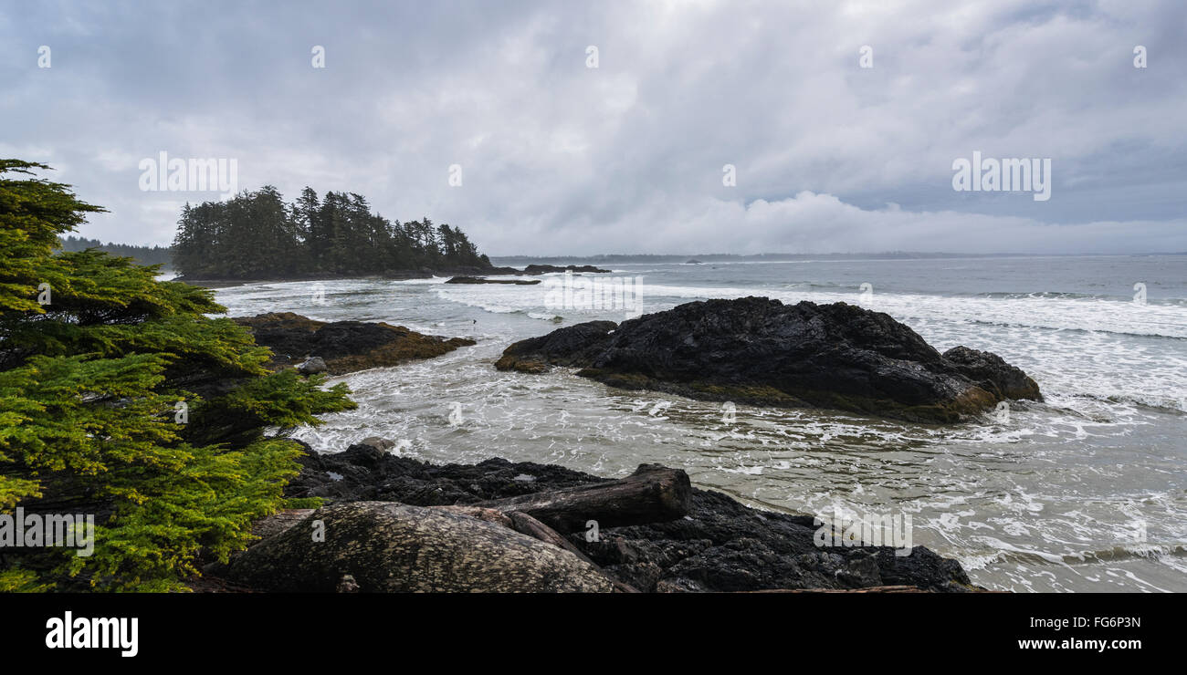 Pacific Rim National Park; British Columbia, Canada Foto Stock