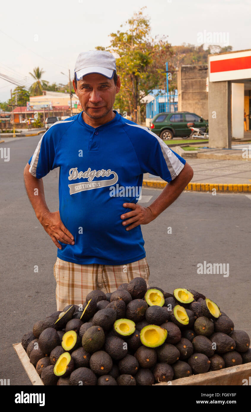 Un Tico vendita avocadi Hass "Persea americana " da strada in Quepos, Puntarenas Provincia, Costa Rica. Foto Stock