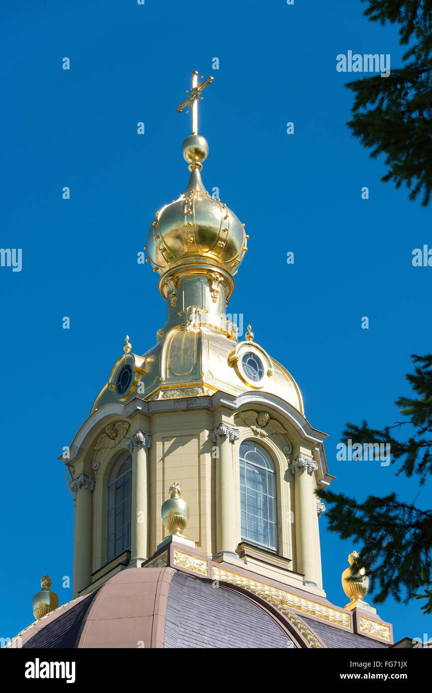 Cupola della Cattedrale di San Pietro e Paolo, Zayachy Isola, San Pietroburgo, regione nord-occidentale, Repubblica Russa Foto Stock