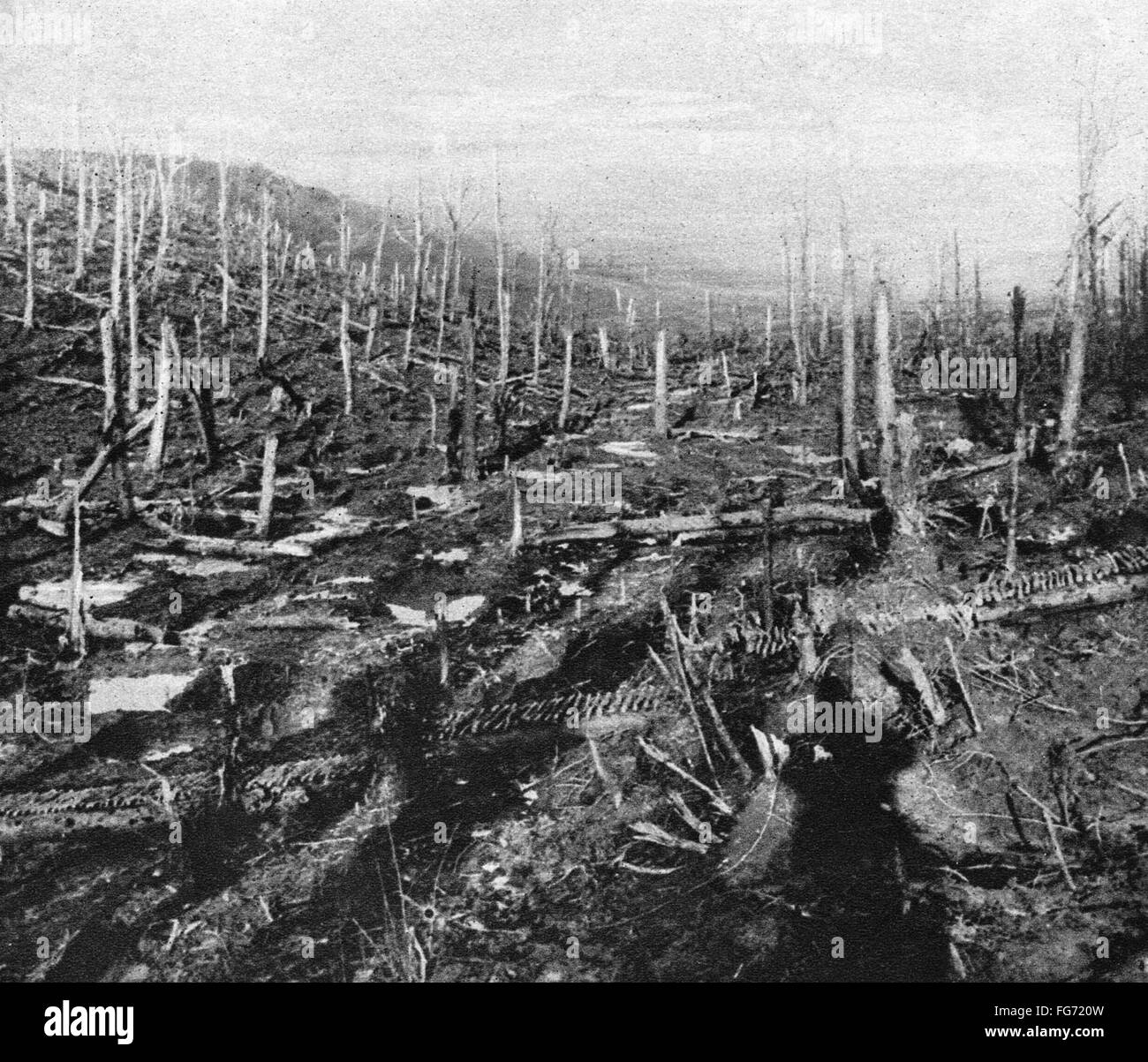 La prima guerra mondiale: Verdun. /NBarren tronchi di alberi in seguito al bombardamento a Verdun, Francia, durante la guerra mondiale I. Fotografia, 1916-1918. Foto Stock