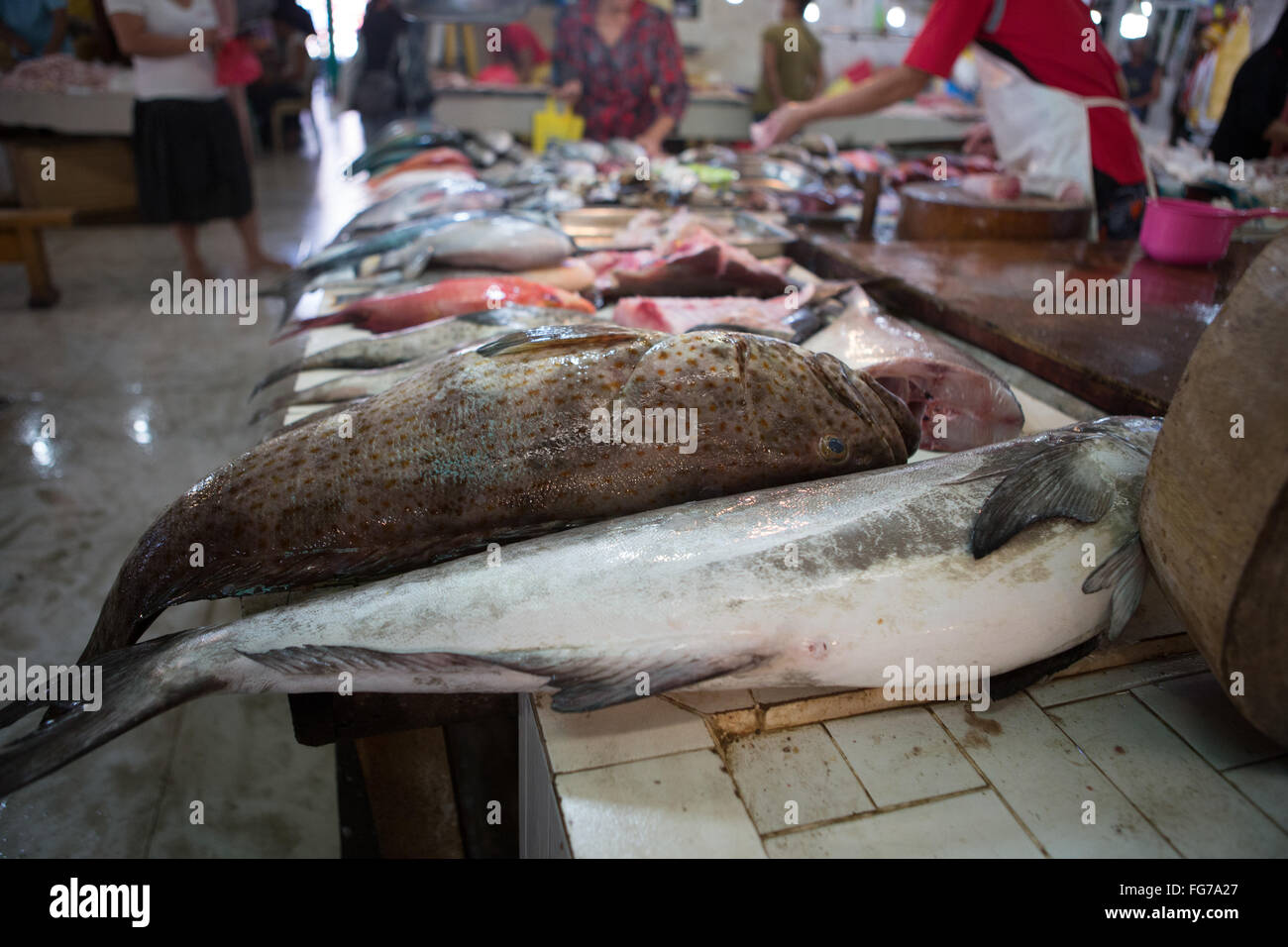 Mercato del carbonio situato nel centro di Cebu City, Filippine. Foto Stock