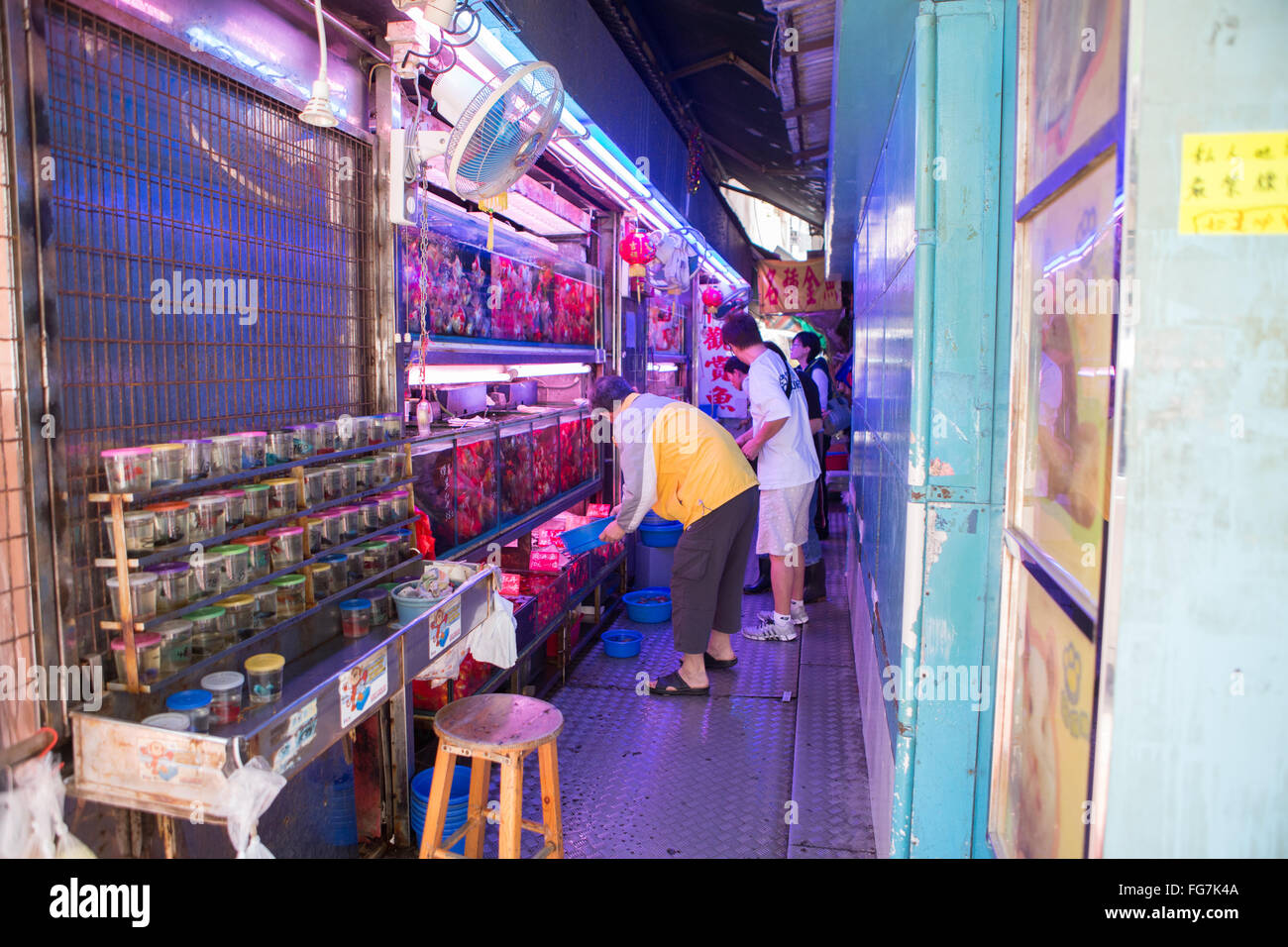 Hong Kong mercati del pesce Foto Stock