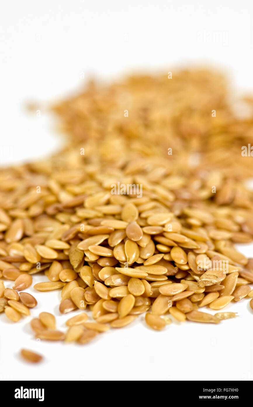 Close up i semi di lino d'oro su sfondo bianco Foto Stock