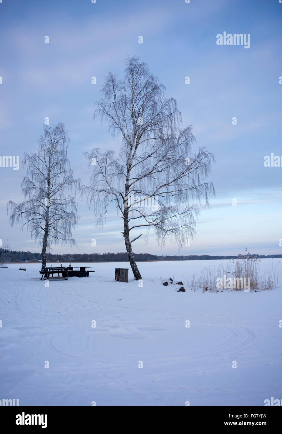 Congelati coperta di neve lago Långsjön in Björklinge in Uppland, Svezia Foto Stock