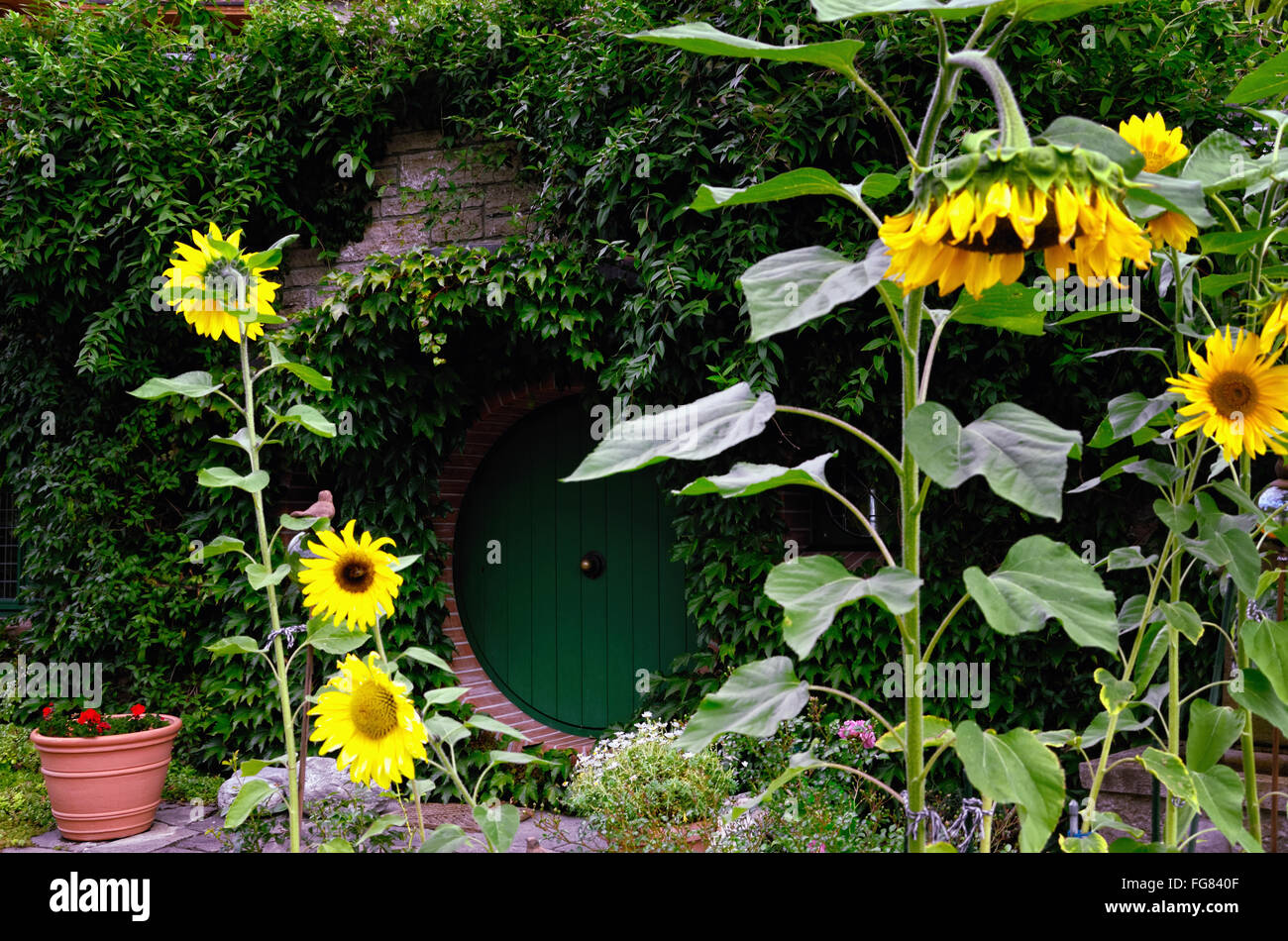 Hobbit casa porta Foto Stock