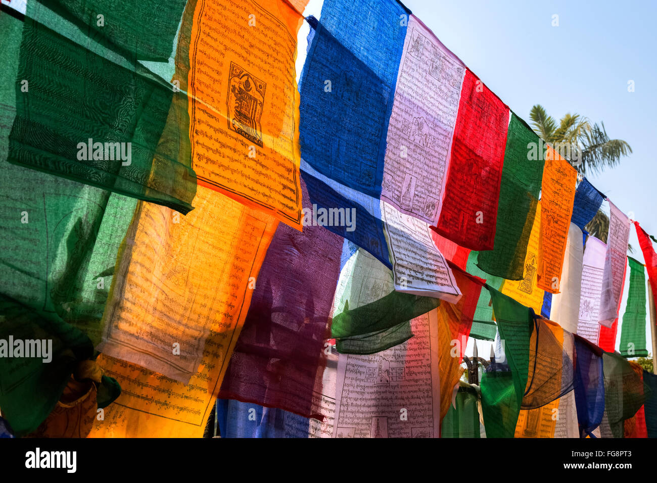 Preghiera tibetano bandiere a Sarnath Temple, Varanasi, Uttar Pradesh, India Foto Stock