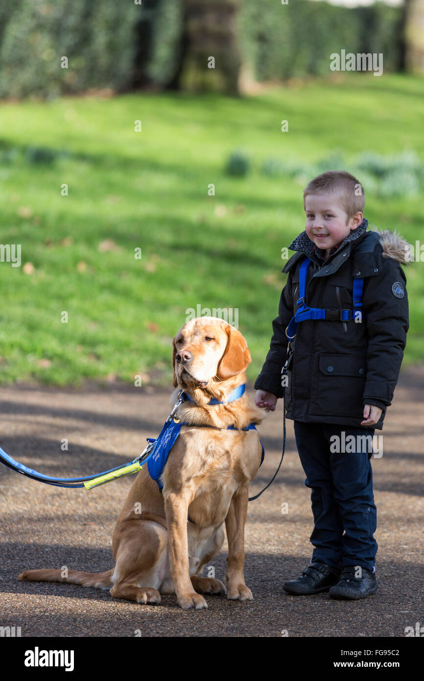 Londra, Regno Unito. Il 18 febbraio 2016. Cohen Hadfield, 7, da Rotherham, South Yorkshire con Azerley, un Golden Retriever croce, autismo cane di assistenza. Il Crufts 2016 cane eroi finalisti sono stati rivelati dal Kennel Club. L annuale Eukanuba Amici per la vita concorso gestito dal Kennel Club festeggia ispirando storie di cani compagnia di fronte alle avversità. © Immagini vibranti/Alamy Live News Foto Stock